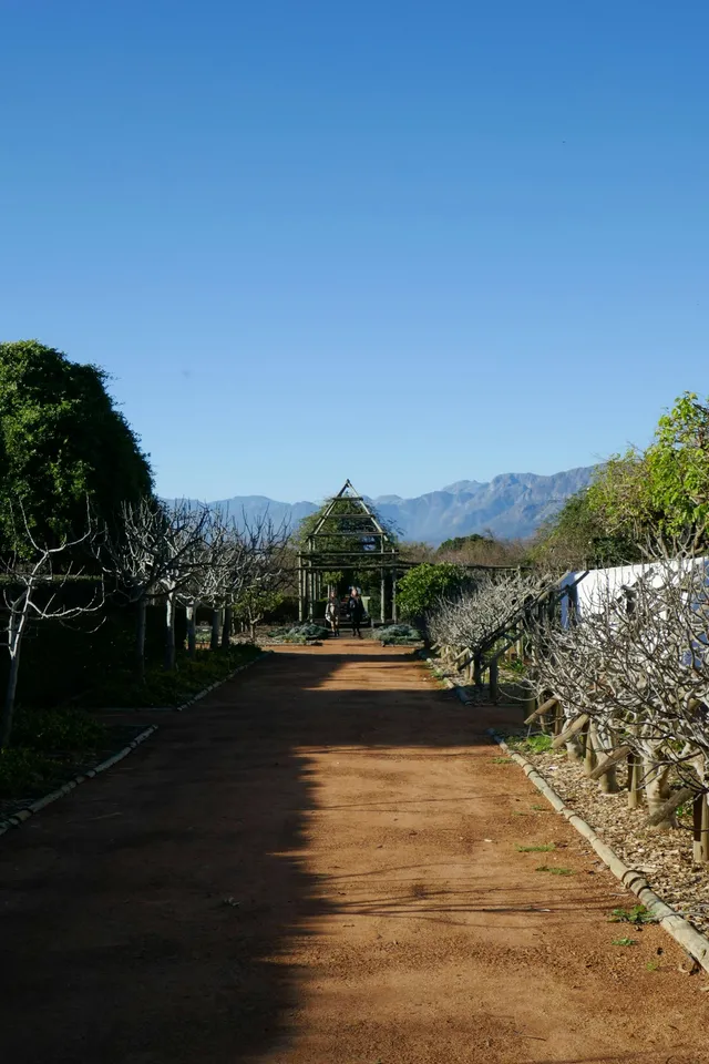 Die Waenhuis, guest suite in Winelands