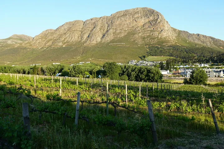 Winelands, Stellenbosch and Franschhoek