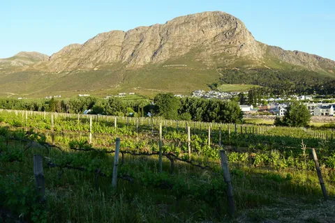 Winelands, Stellenbosch and Franschhoek